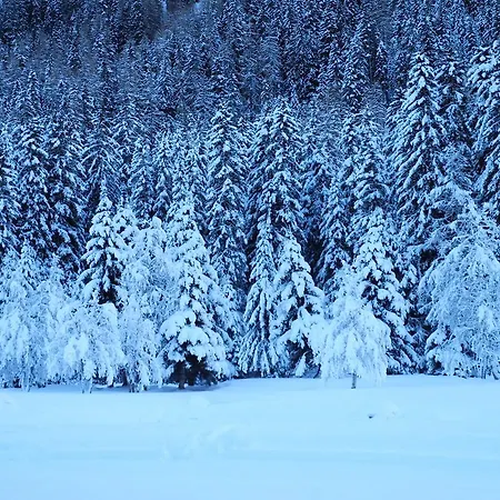 Shima-davos Bed & Breakfast 3*