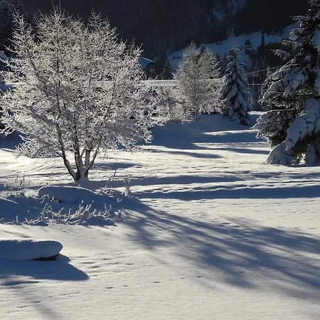 Bed & Breakfast Shima-davos Davos